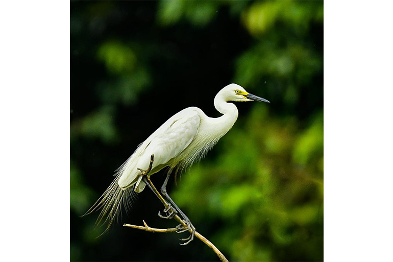 Artemda jinsiy aloqa uchun tanishish