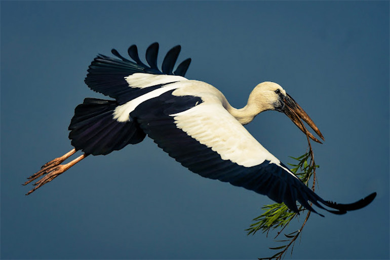 Oriq qizlar bilan eshakda katta sik Chiroyli frantsuz porno video