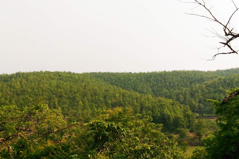 Qogirchoqni sikayotgan yigit video Eshak yalash porno