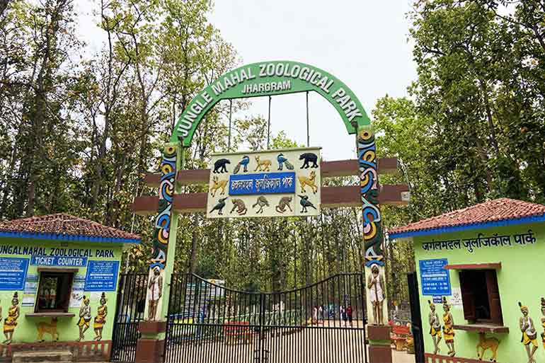 Mushukdagi jinsiy aloqa pornosini onlayn tomosha qiling