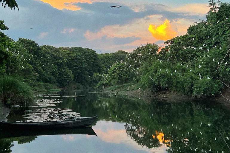 Ayol va uning mushuk surati Norilsk bosh vaqt jinsiy aloqa