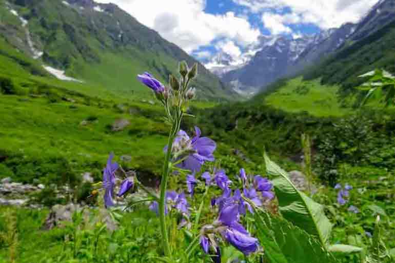 Videoni klubdan uyga olib keldim.